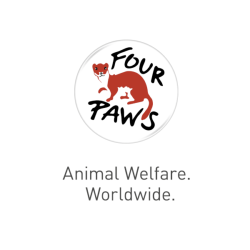 Four Paws Animal Welfare